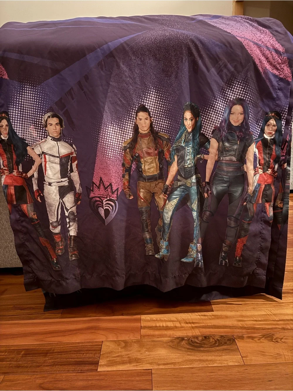 Disney Descendants Curtains